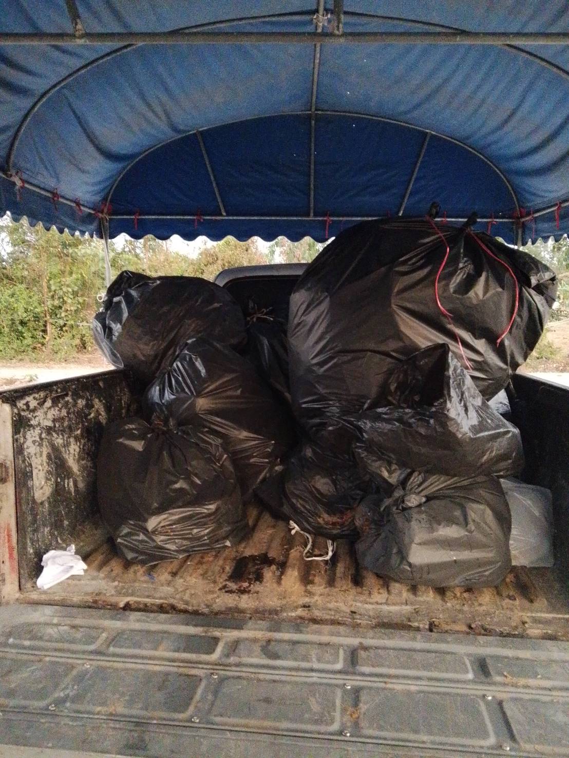 ข่าวประชาสัมพันธ์ วันศุกร์ที่ 23 เดือน มกราคม พ.ศ. 2569 เทศบาลตำบลปราสาท อำเภอบ้านด่าน จังหวัดบุรีรัมย์ ทีมงาน กองช่าง ,ป้องกันและบรรเทาสาธารณภัย ประจำเดือน มกราคม พ.ศ. 2569 - เติมสารส้มและคลอรีนน้ำประปา - เผาขยะ - ซ่อมแซมท่อน้ำประปาแตก หมู่6 - ทำความสะอาดสนามช้าง งานวิ่งมาราธอน