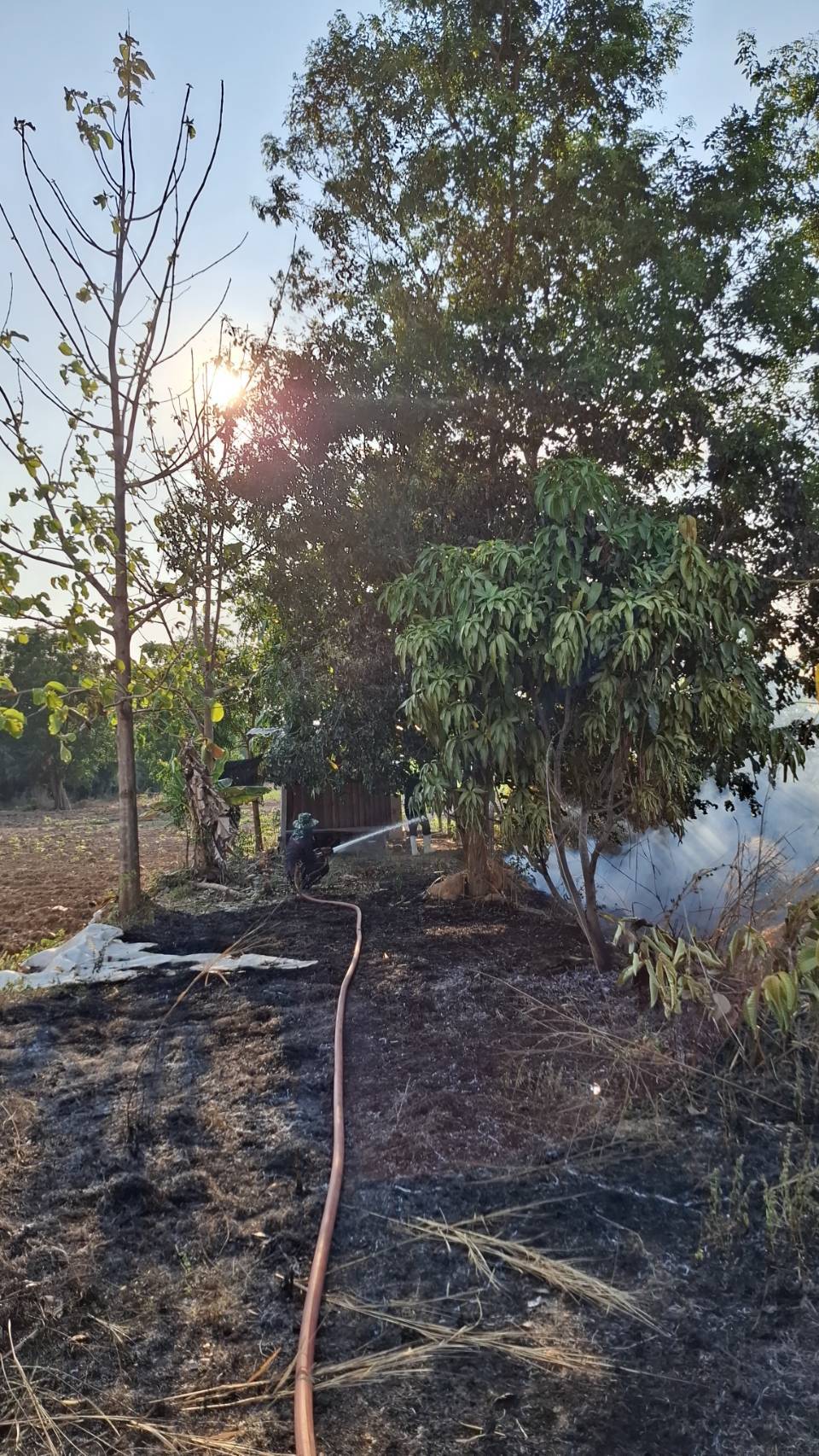 ข่าวประชาสัมพันธ์ วันศุกร์ ที่ 17 เดือน เมษายน พ.ศ. 2569 เทศบาลตำบลปราสาท อำเภอบ้านด่าน จังหวัดบุรีรัมย์ ทีมงาน กองช่าง ,ป้องกันและบรรเทาสาธารณภัย ระหว่างวันที่ 11 - 17 เมษายน พ.ศ. 2569 - เติมสารส้มและคลอรีนน้ำประปา - ซ่อมแซมท่อน้ำประปาแตก หมู่ 14  - ซ่อมแซมท่อน้ำประปาแตก หมู่ 6  - เผาขยะ - ออกระงับเหตุไฟไหม้กระท่อม หมู่ 5 บ้านดอนไม้งาม - ตัดแต่งกิ่งไม้ที่กีดขวางถนน เพื่อความปลอดภัยในการสัญจรของประชาชน - รดน้ำทำความสะอาดบริเวณลานวัดบ้านปราสาท